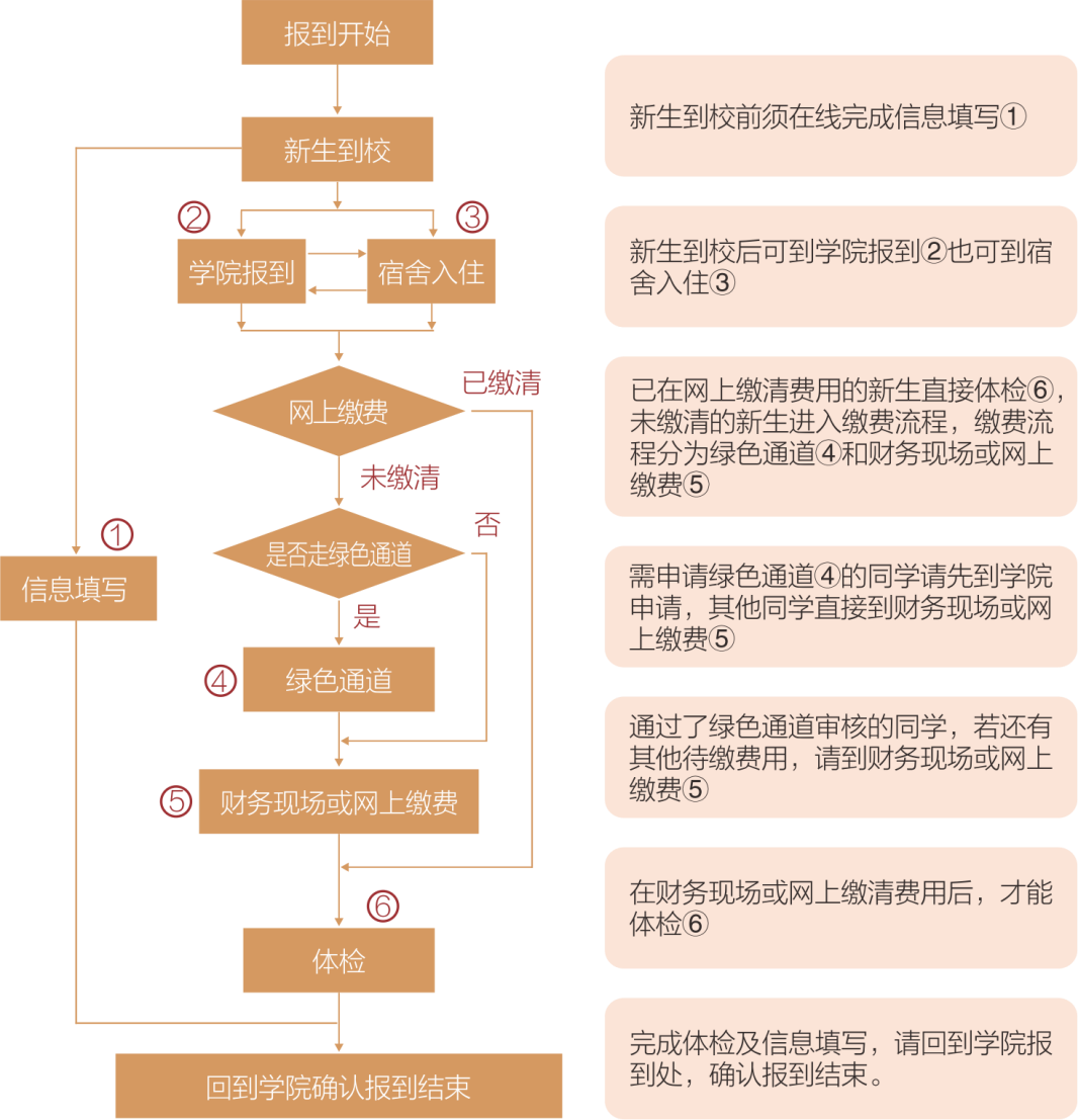 新生入学流程图图片